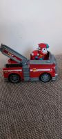 Paw Patrol Marshall Bayern - Ergolding Vorschau