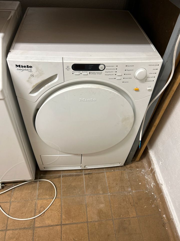 Miele Gala grande xl t7000 c in Lutherstadt Wittenberg