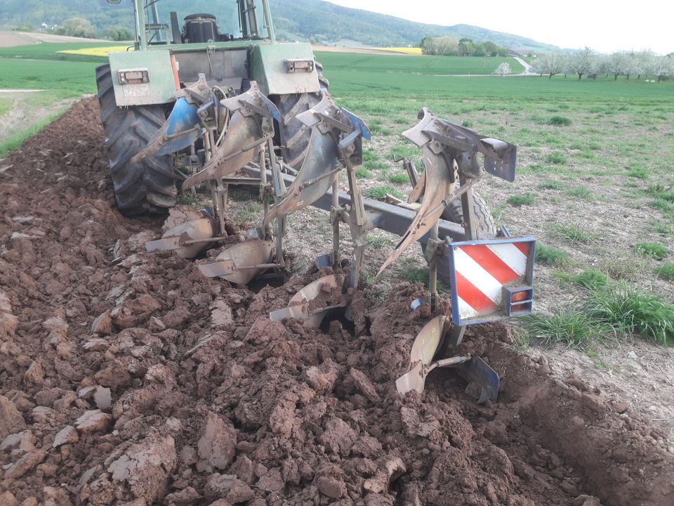 Rabe Pflug 4 Schar Supertaube in Alzenau