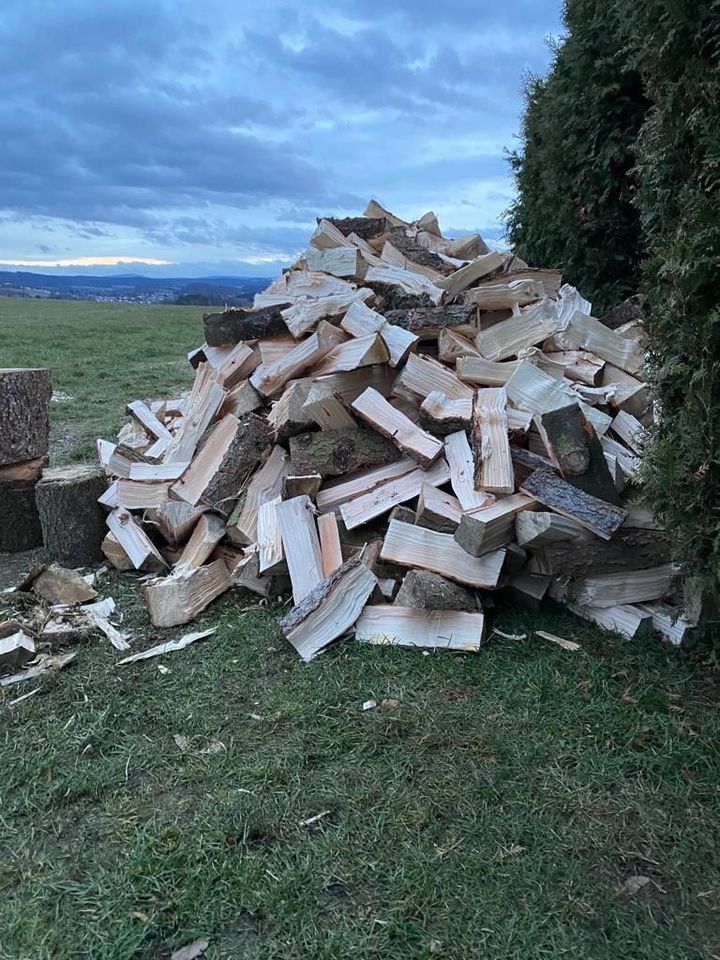 Baumpflege Häckseln Baumfällung Bagger Rasen Hecke Gartenpflege in Zwickau