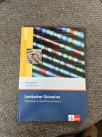 Arbeitsheft Lambacher Schweizer Mathematik Sachsen - Zschorlau Vorschau