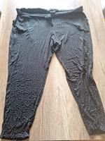 Sommerhose gepunktet Rheinland-Pfalz - Oberrod Vorschau