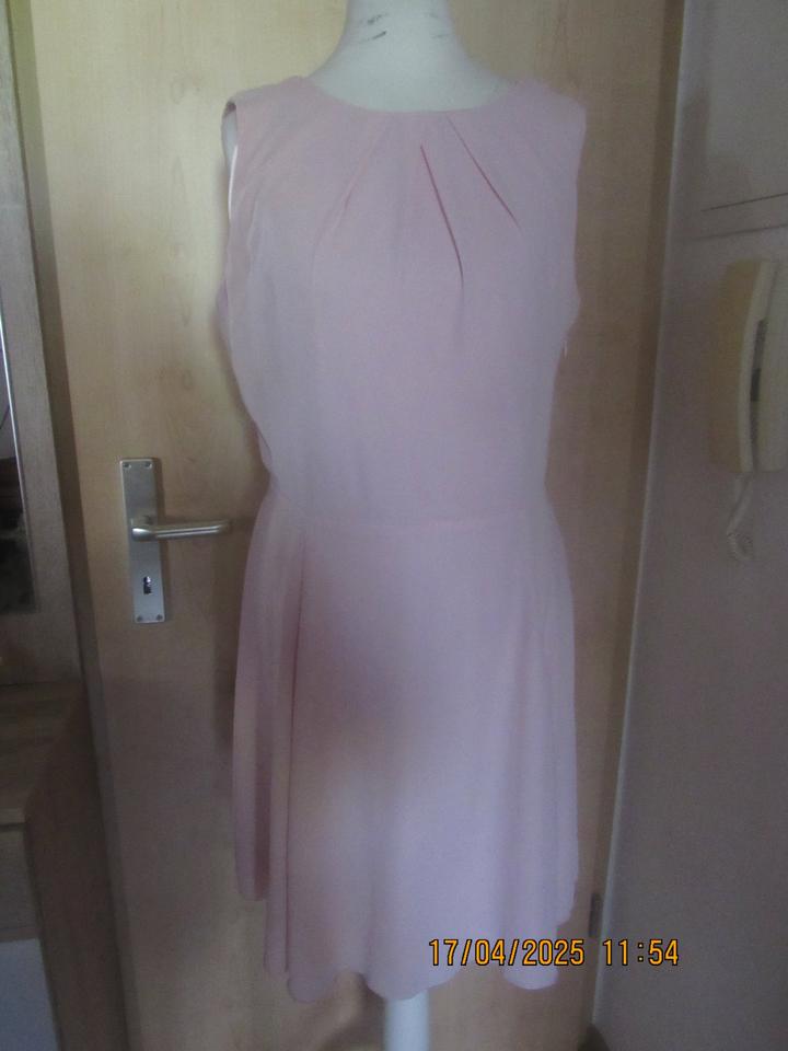Orsay Kleid Rückenausschnitt Spitze rosa Größe 34 neuwertig in Sonneberg