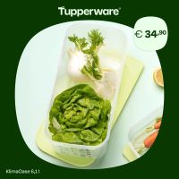 Tupperware * Klima Oase 6,1  L Neu KlimaOase Spargel Obst Gemüse Niedersachsen - Pattensen Vorschau