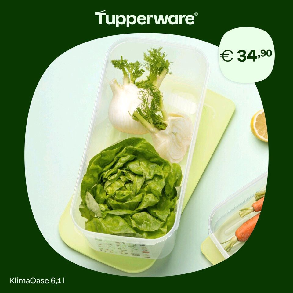 Tupperware * Klima Oase 6,1  L Neu KlimaOase Spargel Obst Gemüse in Pattensen