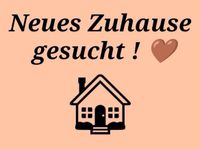 Suche eine 3 Zimmer Wohnung Nordrhein-Westfalen - Ennepetal Vorschau