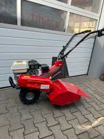 Benassi RT 401 Fräse Hacke Gartenfräse Honda Motor Baden-Württemberg - Boxberg Vorschau