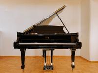 STEINWAY&SONS Flügel Modell M 170 in schwarz poliert Hessen - Wetzlar Vorschau