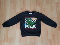 H&M - Sweatshirt Pullover Dino Pailletten Gr. 122/128 Baden-Württemberg - Heilbronn Vorschau