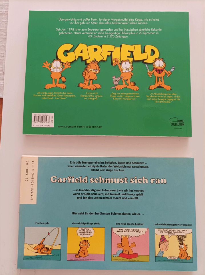 Garfield Comic-Bücher je 5€ in Bochum
