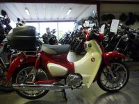 Honda Super Cub 125 Niedersachsen - Lehrte Vorschau