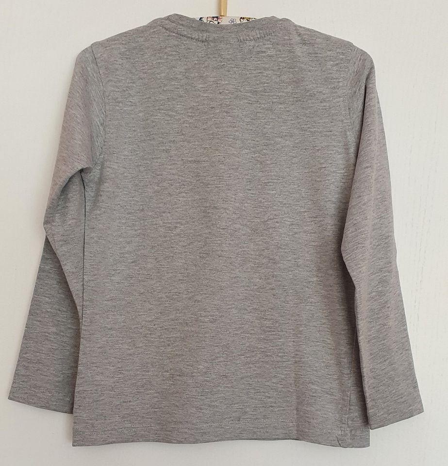 2 Langarmshirt, Kapuzenpullover Gr. 116 in Neustadt in Holstein