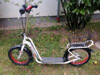 Scooter Cityroller München - Hadern Vorschau