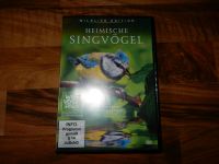 DVD "Heimische Singvögel" Berlin - Köpenick Vorschau