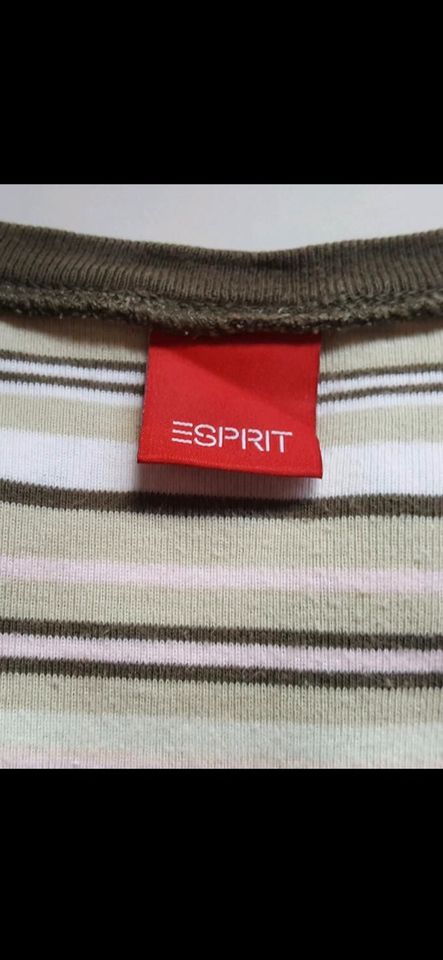 ESPRIT Shirt hellgrün-oliv-weiß-gestreift Gr. L in Bergisch Gladbach