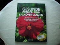 101) Buch: Gesunde Zimmer- und Balkonpflanzen Schleswig-Holstein - Borgstedt Vorschau