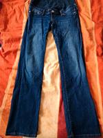 Umstandshose, Jeans Dresden - Gorbitz-Süd Vorschau