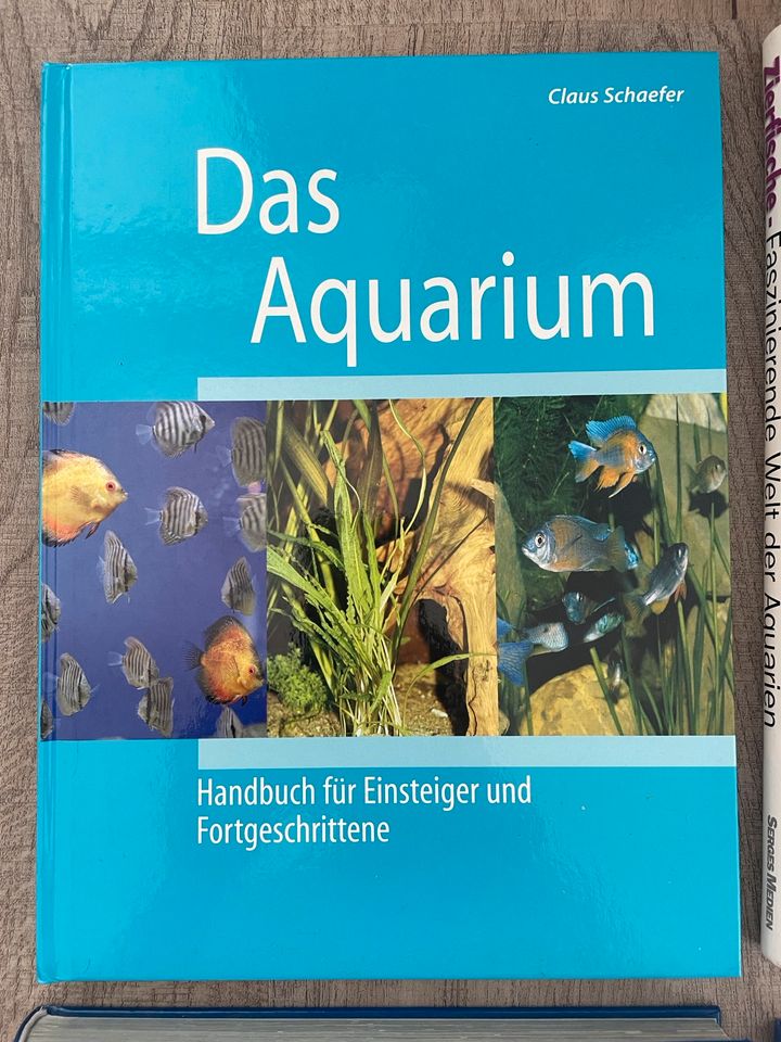 Aquarium Zierfische Aquaristik Bücher Kosmos Fachbuch in Finsterwalde