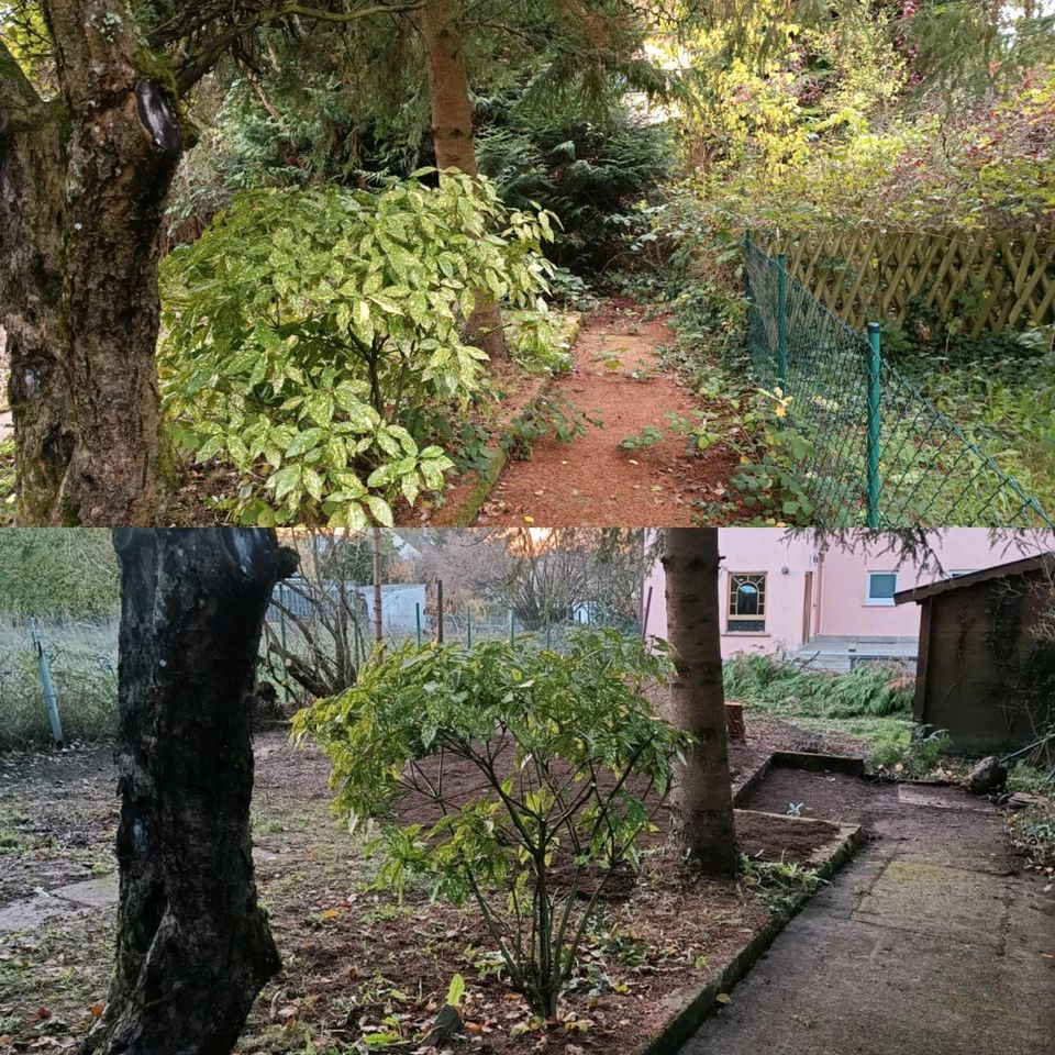 Gartenarbeiten alle Arten Termine frei in Dillingen (Saar)