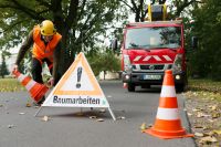 Baumdienst - Helfer mit LKW- Führerschein (m/w/d) Berlin - Steglitz Vorschau