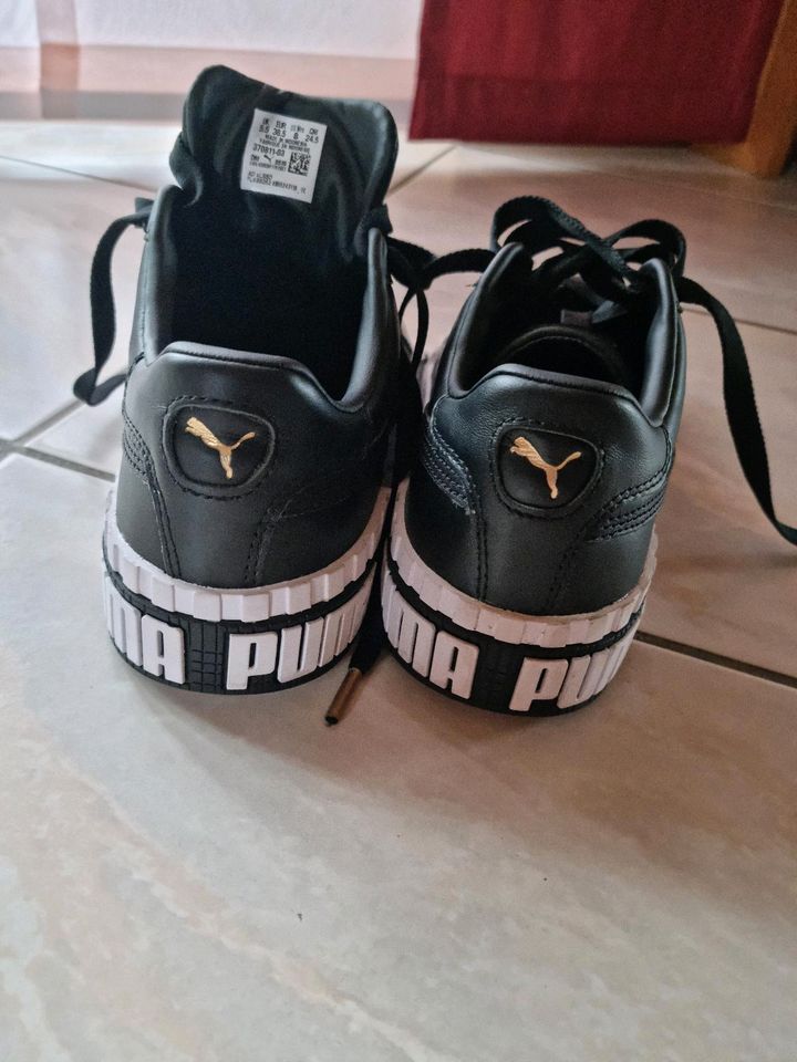Puma Sneaker, Größe 38,5 in Grasleben