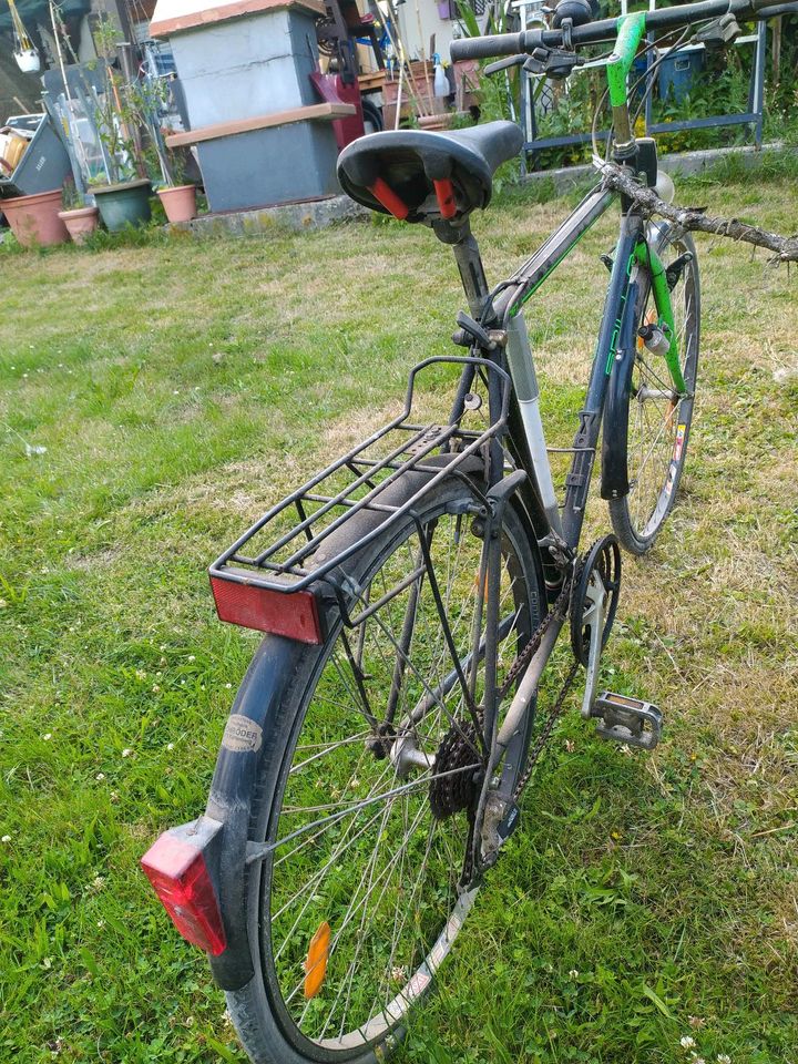 Bianchi Spillo Verde 767 Vintage 28" Stahlrahmen in Nordrhein-Westfalen -  Halver | Herrenfahrrad gebraucht kaufen | eBay Kleinanzeigen ist jetzt  Kleinanzeigen