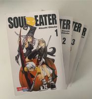 Soul Eater Manga 1-4 Baden-Württemberg - Kirchberg an der Murr Vorschau