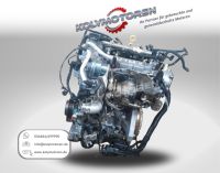 Motor B10XFL / LE1 ● Opel Astra-K Turbo 1.0 ● 105PS ● komplett Thüringen - Neustadt an der Orla Vorschau