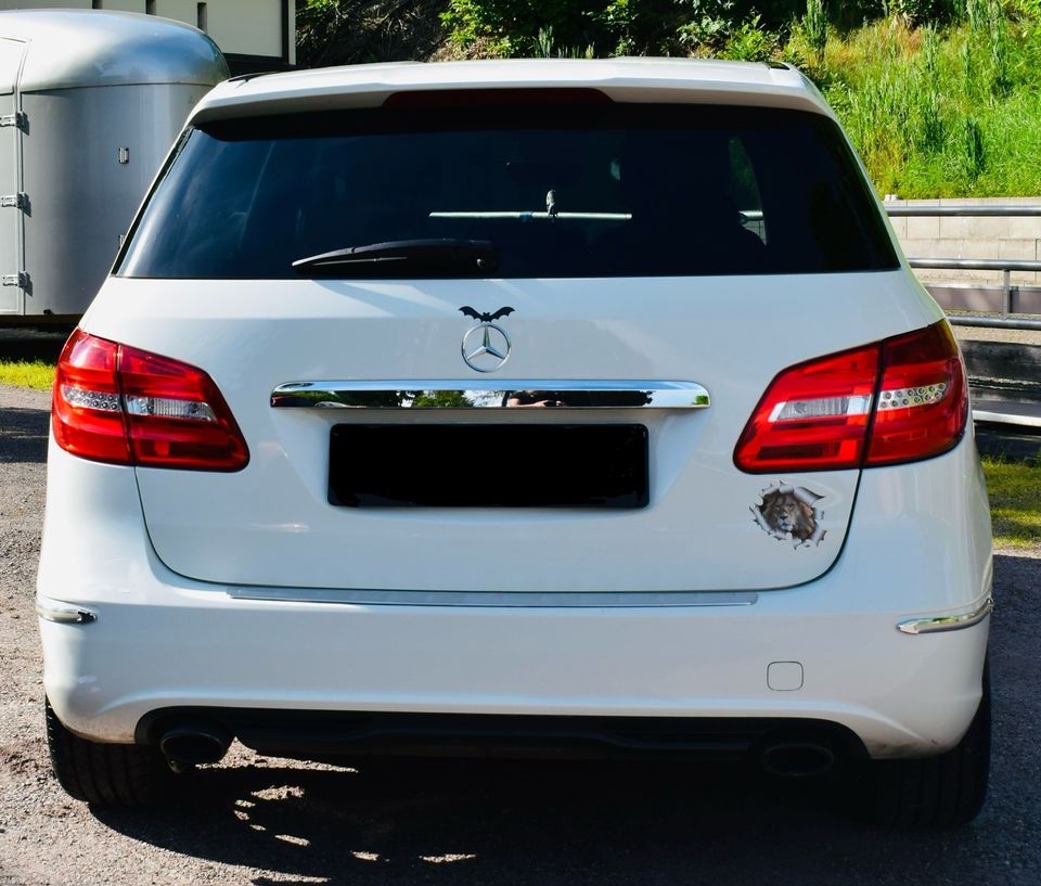 Mercedes B180 in Bad Bergzabern