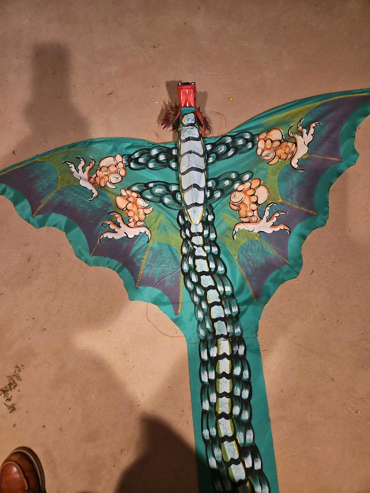 original handgemalter chinesischer Drachen zum Fliegen in Gunzenhausen