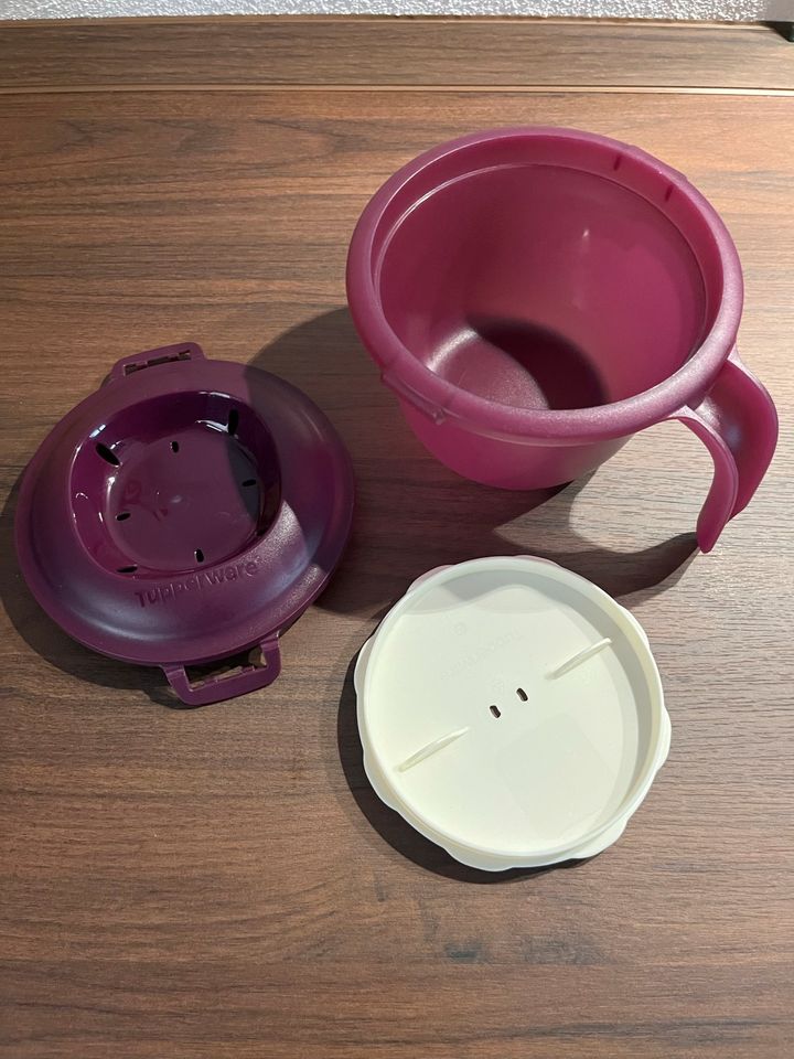 Tupperware Reis Meister Junior in Mehring