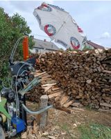 MIETEN BALFOR Pro 16C+ET Holzspalter mit Kombiantrieb Rheinland-Pfalz - Brockscheid Vorschau