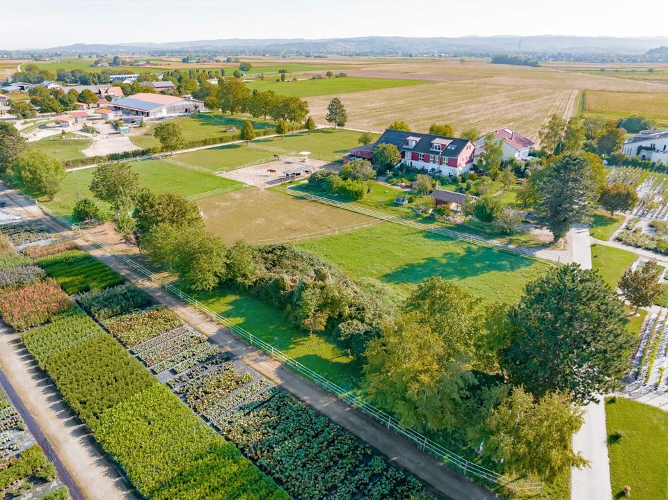 BRUMANI | Vielseitiges Anwesen mit Wohnkomfort, Ferienhaus und Pferdestallungen in Endingen in Endingen