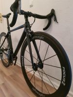 Focus Cayo Evo Ltd 5,7 kg Berlin - Steglitz Vorschau