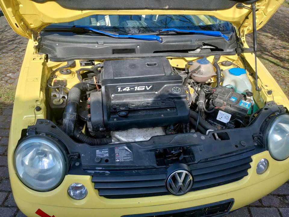 VW Lupo Tracktool - RCN GLP AJV GTI Motor Fahrwerk 7.25x15 etc in Greimersburg