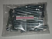 MZ TS 250 TS 250/1 - *34 Motor Schrauben Set 12* Normteile Satz Nordrhein-Westfalen - Werdohl Vorschau