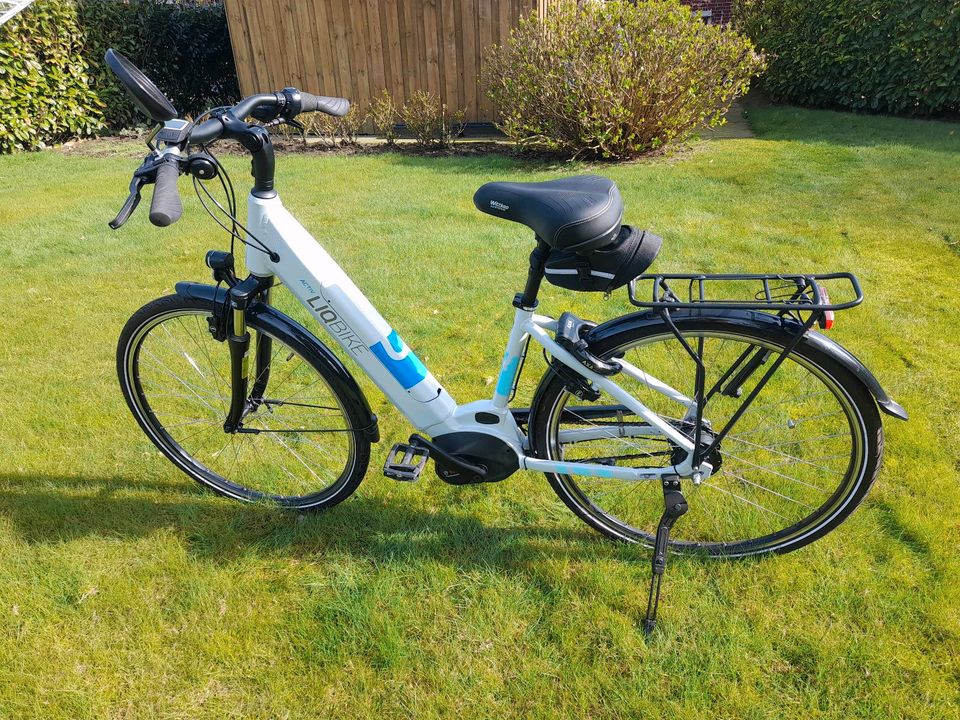 E-Bike, Elektrofahrrad,Fahrrad, in Tensbüttel-Röst