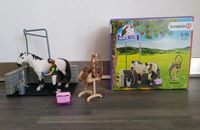 Schleich Set 42104 Horse Club Waschplatz Pferd Bayern - Gaimersheim Vorschau