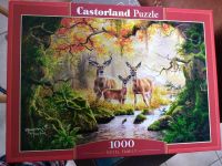 1000 Teile puzzle Bayern - Bamberg Vorschau