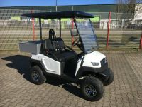 WSM Golfcart MX1300+Transportbox AC Offroad mit Straßenzulassung Baden-Württemberg - Satteldorf Vorschau