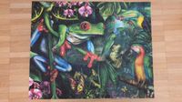 3D Puzzle, Froschpuzzle, exotische Tierwelt, 500 Teile Nordrhein-Westfalen - Bedburg-Hau Vorschau