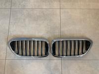 Original BMW G30 G31 Ziergitter Niere Thüringen - Drognitz Vorschau