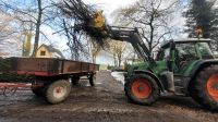 Forstarbeiten Busch Abfuhr Holz Stuben Grünschnitt Laub Niedersachsen - Sauensiek Vorschau