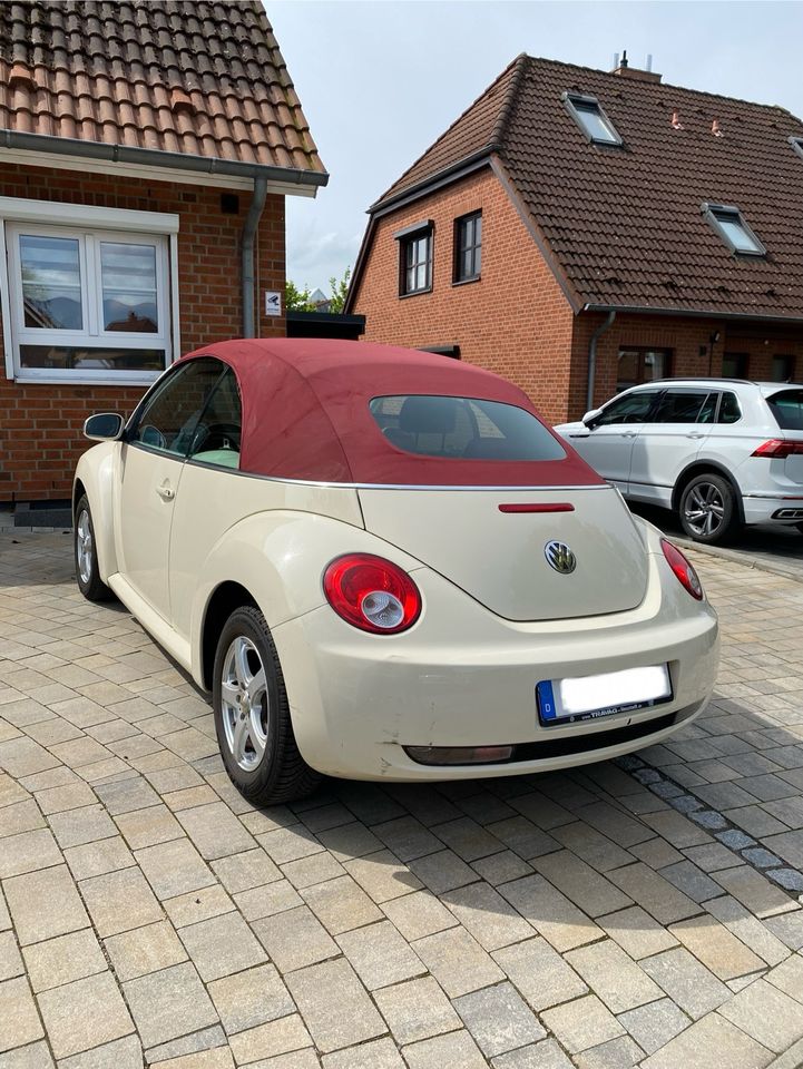 VW Beetle, Cabrio, 2.0 85KW in Stockelsdorf