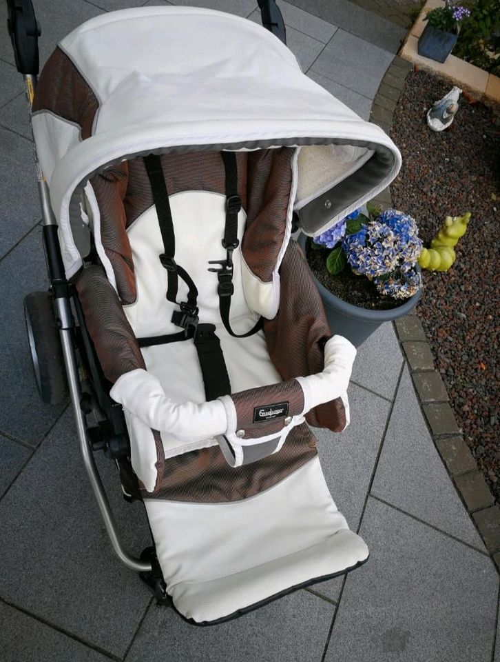 Emmaljunga Kinderwagen in Langgöns