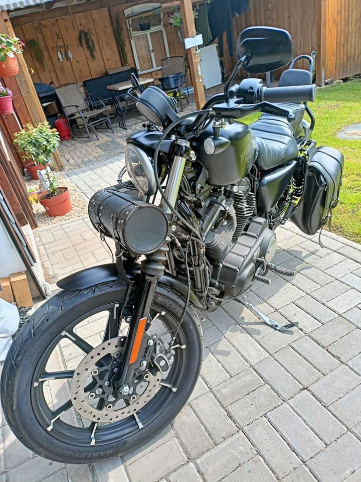 Harley Davidson Sportster Iron 883 in Sondershausen