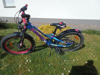 Kinder Fahrrad Scool Face  24 Zoll Sachsen-Anhalt - Allstedt Vorschau