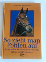 So zieht man Fohlen auf - sehr gut erhaltenes Buch Münster (Westfalen) - Hiltrup Vorschau