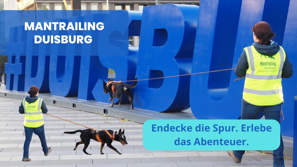 Hundetraining in Duisburg und Umgebung - Erfahrene in Duisburg