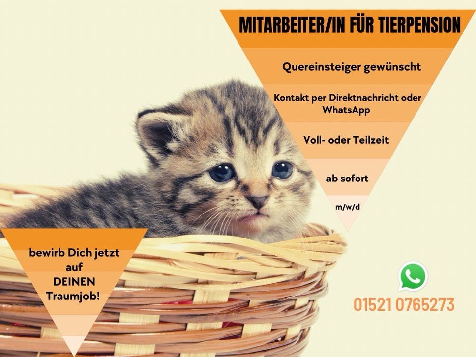 Mitarbeiter/in für Tierpension gesucht (m/w/d) in Berlin